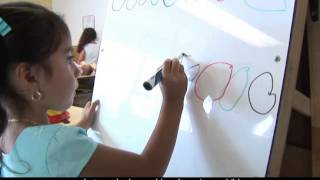 Focused Observations, Chapter 1 Introduction (Captions) Net Worth