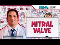 Mitral Valve Stenosis & Regurgitation