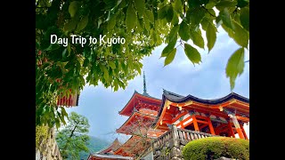 京都一日游～Day Trip to Kyoto