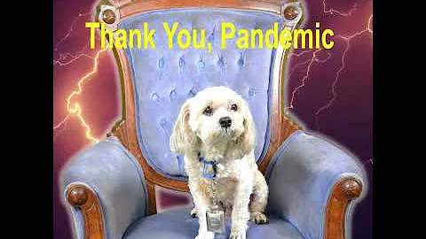 Thank You, Pandemic