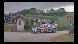 WRC Croatia 2024 / SS16 Pećurkovo Brdo - Mrežnički Novaki 2 / All WRC1 Drivers