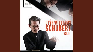 12 Lieder von Franz Schubert, S. 558: XII. Ave Maria