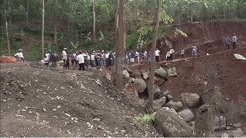 Climate change conference - Museveni to receive champion of mobility award in Egypt