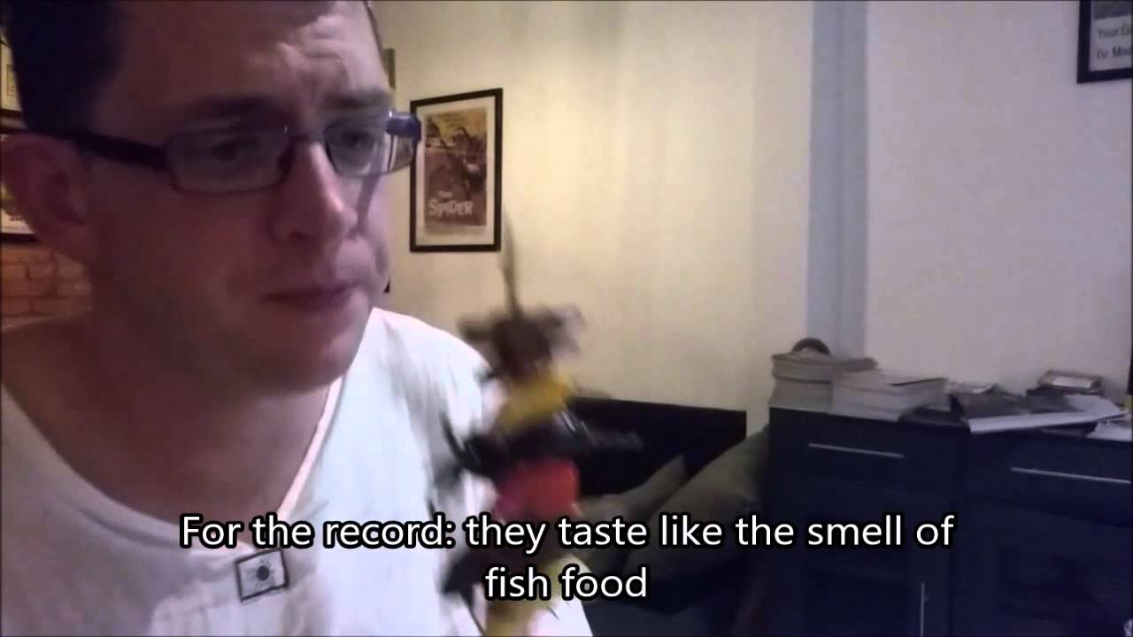 Bugs Café - YouTube