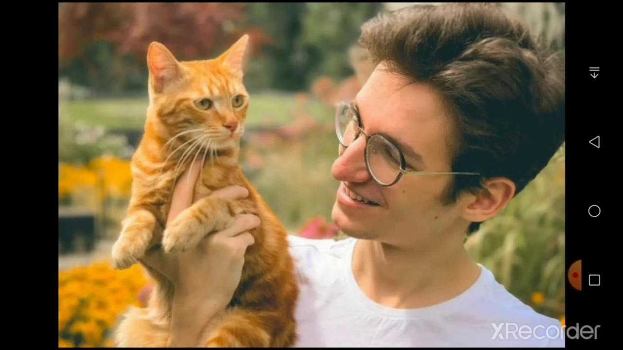 симба котик. симбачка младший. включи про котика симба.