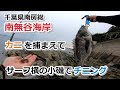 千葉県南房総 南無谷海岸 カニを捕まえてサーフ横の小磯でチニング 【2021年6月26日】【南房総】【内房】