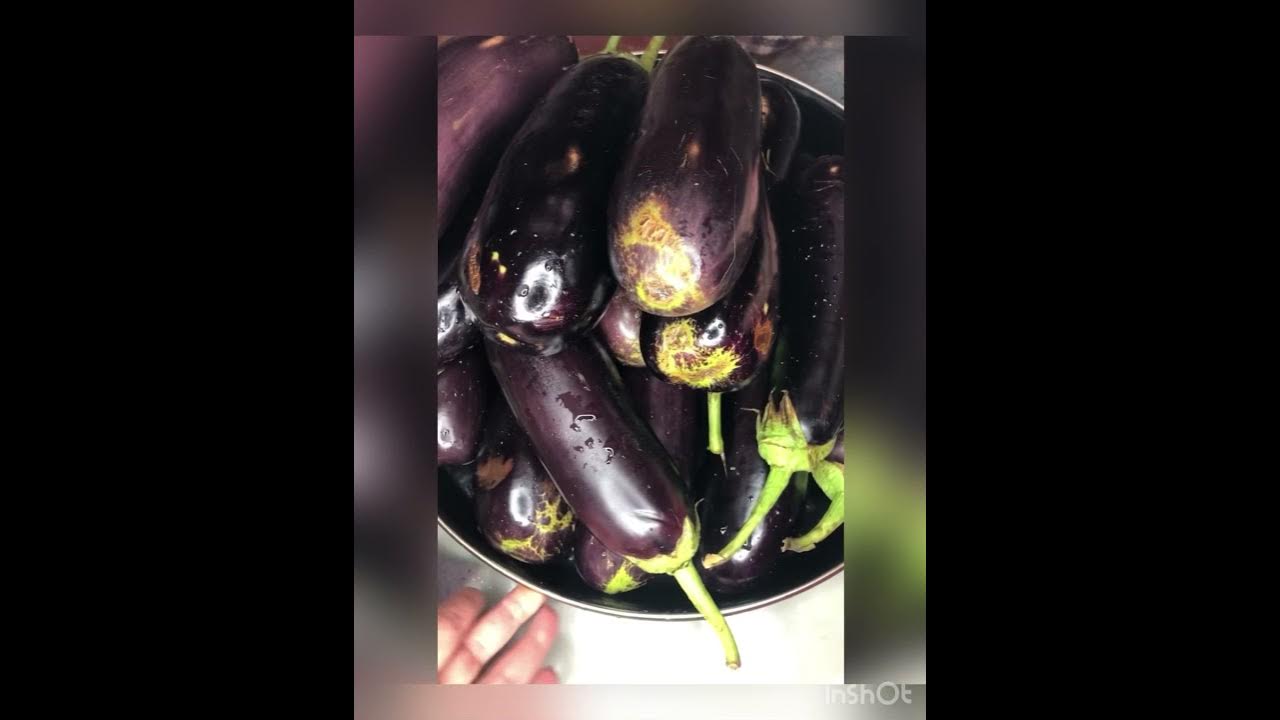 Заготовка баклажан на зиму заморозкой. Как выглядят подмороженные баклажаны. если тянет на баклажаны.