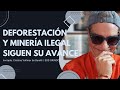 Deforestacin y minera ilegal siguen su avance  arrmate al mingo  mircoles 22 de mayo 2024