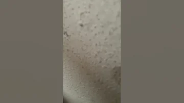 انسان بسيط بتحبه كل الناس 