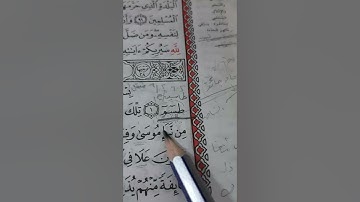 أسئلة إجازة لرواية حفص من سورة القصص صفحة ٣٨٥ و  ٣٨٦