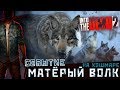 Into the Dead 2 - Прохожу Событие "Матёрый волк" на Кошмаре (ios) #21