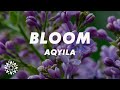 Aqyila - Bloom (Lyrics)