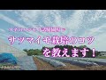 さつまいも 栽培（圃場準備から植え付け作業）　タネのハシモト