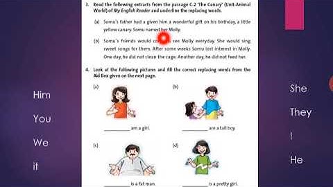 Class 3rd English Replacing Words  Part II