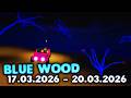 BLUE WOOD MAZE 17 03 2026 20 03 2026 LUMBER TYCOON 2