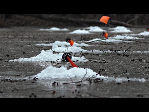 Щука на балансир и жерлицы! Рыбалка зимой на маленькой реке!