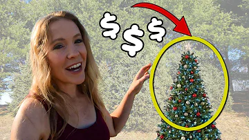 $60,000/ACRE?! (Big Money or Big FLOP?) Christmas Tree Farming 101 Interview With Retired Farmer