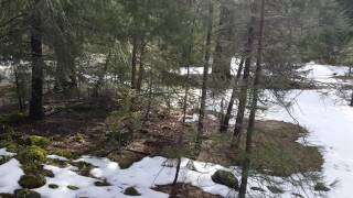 Canyon Creek 2017 Frecklez & Ireland Trinity Alps