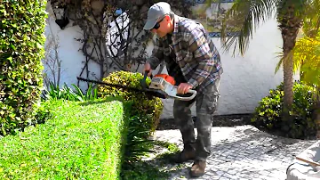 Фигурная стрижка кустов. Машинка для стрижки кустов Stihl HS45