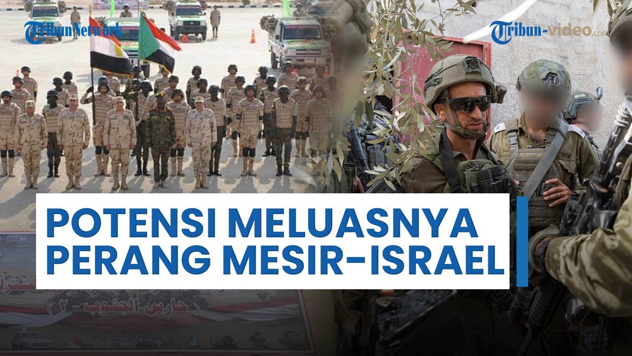 Perang Gaza Memanas: Serukan Perang Mesir Vs Israel