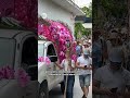 Almuñécar disfruta de la romería de San Isidro, patrón de los labradores,