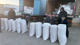 видео: ХОРАЗМ ХАЗАРАСП ОПТОМ ГУРУЧ ЯНГИ НАРХЛАРИ 1 ноября 2025 г. картинка: ХОРАЗМ ХАЗАРАСП ОПТОМ ГУРУЧ ЯНГИ НАРХЛАРИ 1 ноября 2025 г.