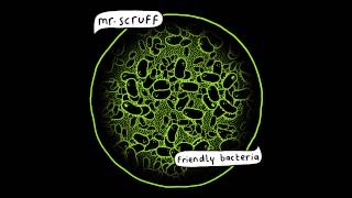 Mr. Scruff Acordes