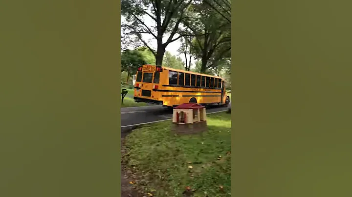 BUS 747