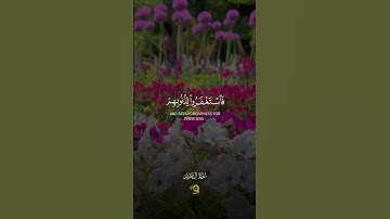 تلاوة تبكي القلوب من سورة آل عمران للقارئ محمد الفقيه ❤️‍🩹 - خشوع وطمأنينة لا توصف 🦋💚 #قرآن