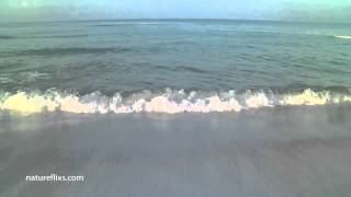 Tides - Jimmy Buffett chords