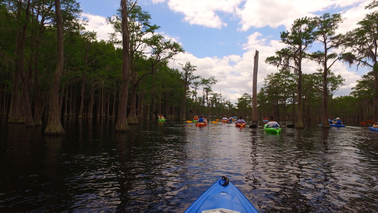kayaking at L Smith Park YouTube