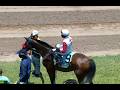 JAMAICA RACING: Life Is Life Opens Sat, May 16, 2026, At 3-5