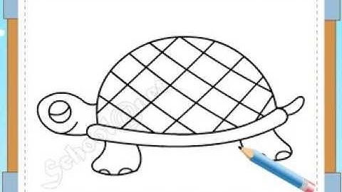 BÉ HỌA SĨ - Thực hành tập vẽ 182: Vẽ con rùa