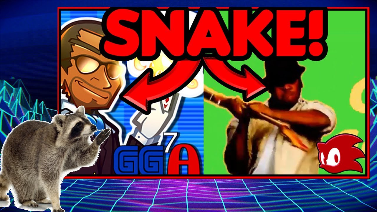 The Sonic Snake: Gamerguyd7aces
