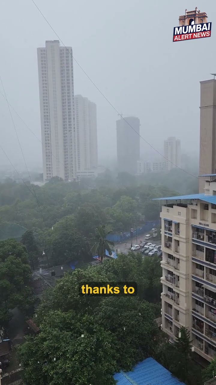 Mumbai Lakes Reach 49.41% Capacity Despite Minimal Rainfall