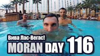 Moran Day 116 - Вива Лас-Вегас!
