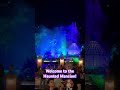 Halfway to Halloween at Disney’s Haunted Mansion! #shorts #disney #disneyworld #disneyparks