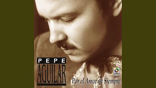 Video thumbnail of "Pepe Aguilar - Llamarada"
