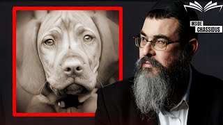 Do Animals Have A Soul? (According To Torah)