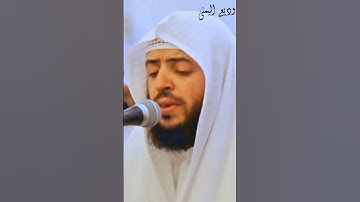 الشيخ #وديع_اليمني تلاوة تأخذ بمجامع قلبك ♥️ اسمع بقلبك 🎧