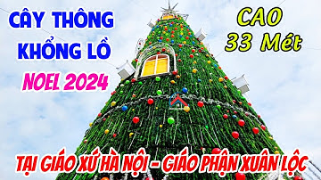 CHOÁNG NGỢP VẺ ĐẸP CÂY THÔNG GIÁNG SINH 2024 KHỔNG LỒ CAO 33M TẠI NHÀ THỜ GIÁO XỨ HÀ NỘI - GPXL
