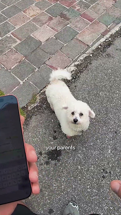 Download lagu Marshall to the rescue!