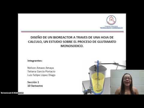 Vídeo: Un Modelo 3D De Perfusión Basado En Un Biorreactor Del Espacio Subaracnoideo Basado En Una Construcción De Tejido Meníngeo