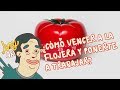 ¿Cómo vencer a la flojera y ponerte a trabajar? - Hey Arnoldo