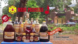 Madu Asli Multiflora 650ml Madu Pramuka Alami