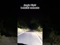 jungle night drive beautiful moment #jungleadventure #wildanimals