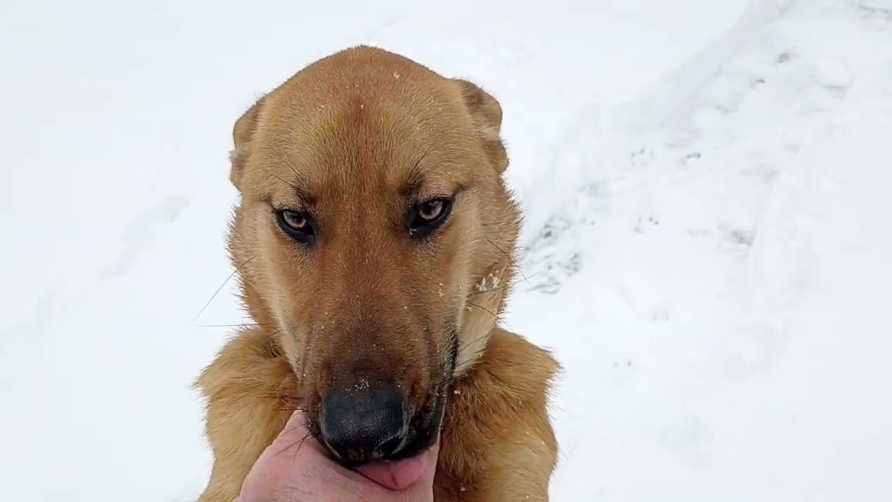 Спрашивают: Как там моё хозяйство?