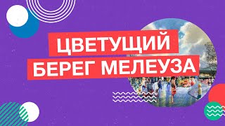 Город Мелеуз. «Цветущий берег Мелеуза»