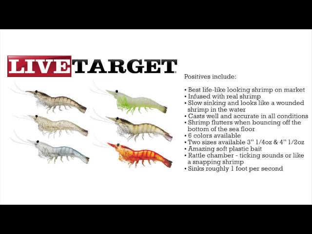 Fishing Florida Radio's review of Live Target Lures 4 Shrimp a division of  Koppers Tackle 