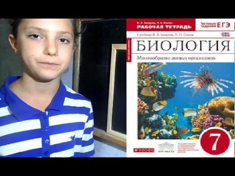 Классификация животных и их систематические группы, 7 класс,Бология